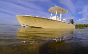 Sheaffer Boat Tampa Bay